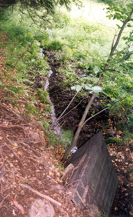 Jankova studánka (139)