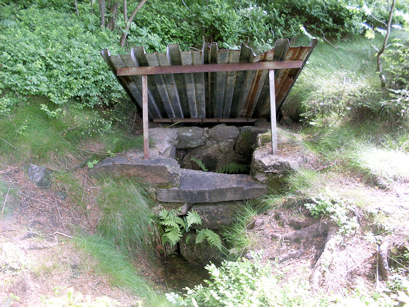 Dobrovodská léčivá studánka (1390)