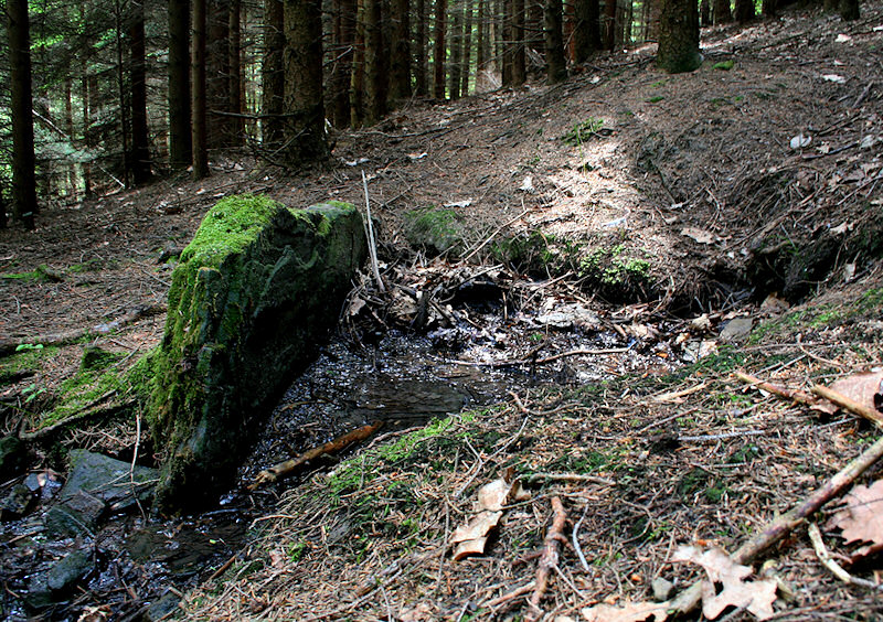 Jelení studánka (1394)