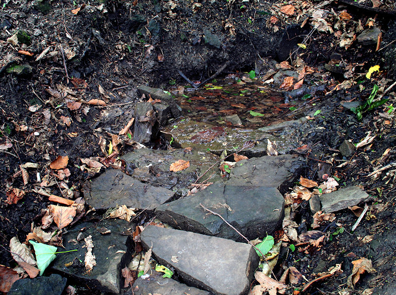 studánka U Studny (1396)