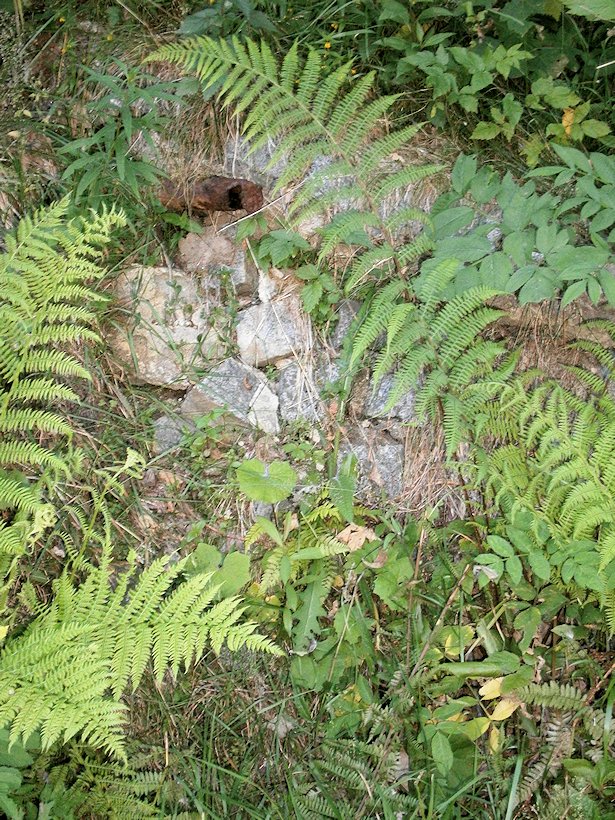 Mariánská studánka (1424)