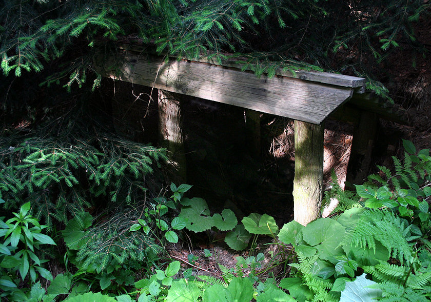 studánka V Srní dolině (1426)