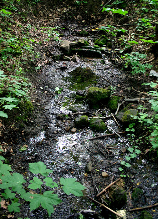 studánka Pod Kozím hřbetem (1428)