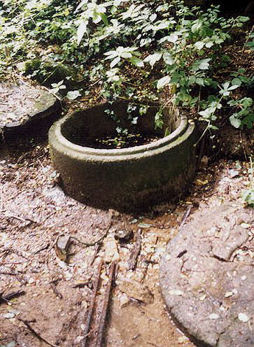 studánka bez jména (143)