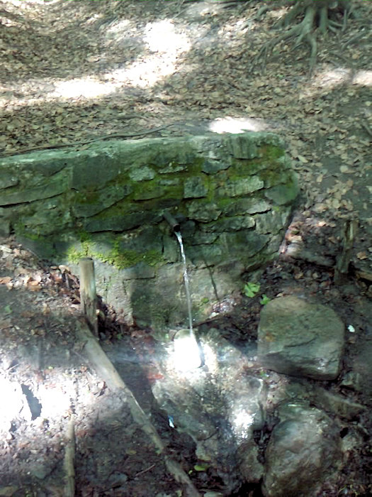 Kamenná studánka (1430)