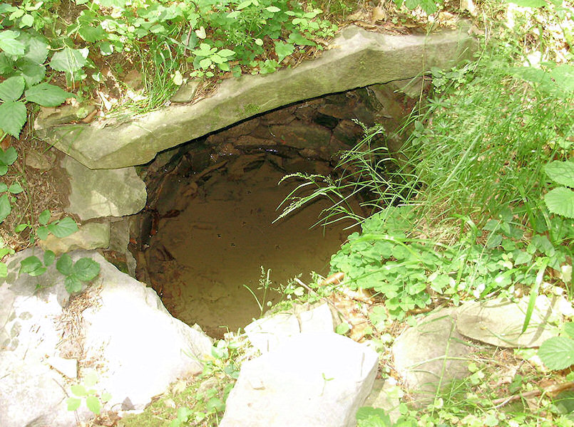 studánka Na okraji (1454)