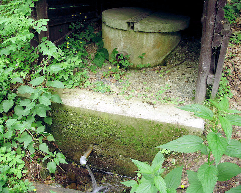 studánka V Černém lese (1455)
