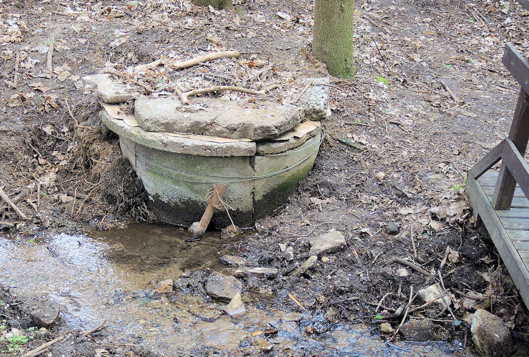 studánka Pod Krellovou (1463)
