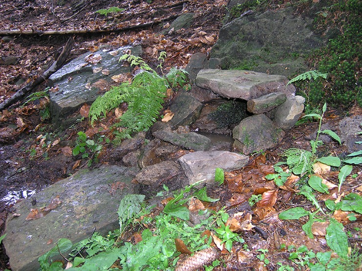 studánka Pod bukem (1481)
