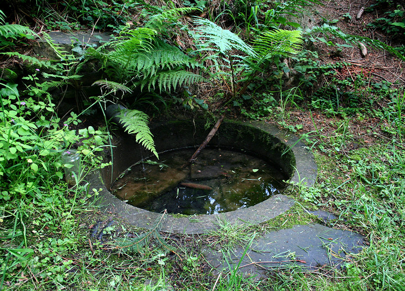 studánka Na Pulčínské cestě (1493)
