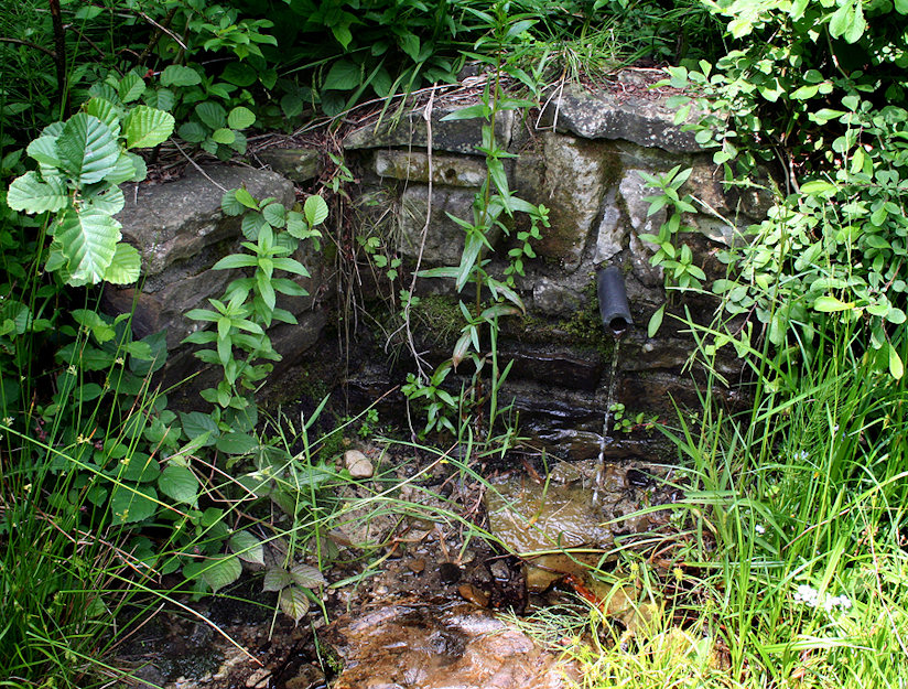 studánka Myšházka (1496)
