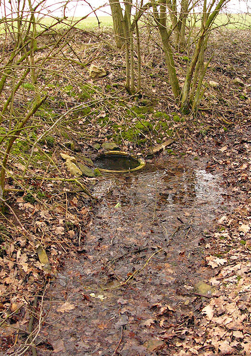 studánka Pod bezem (153)