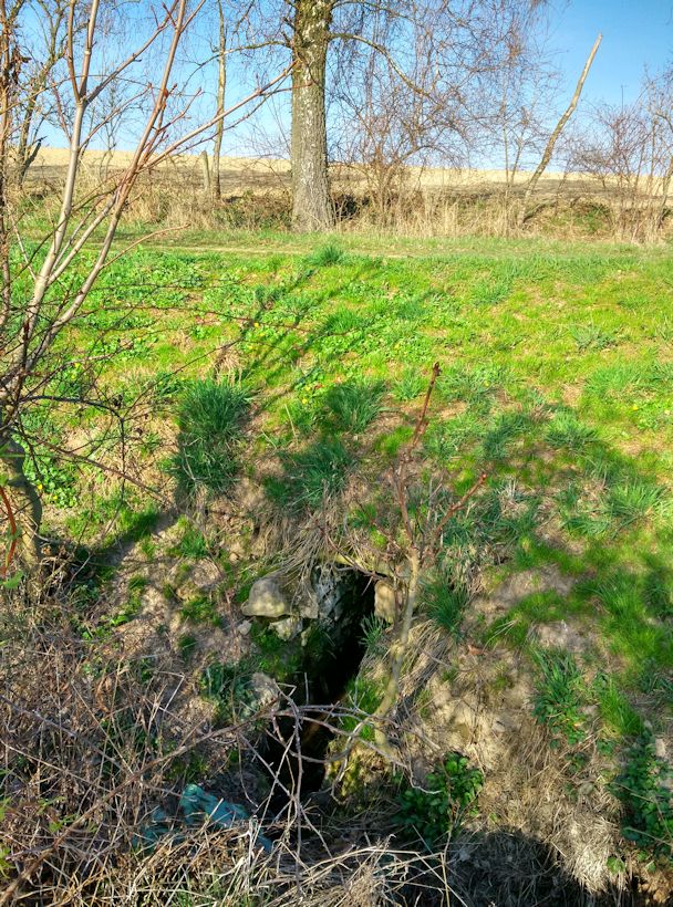 Portlíkova Studánka (163)