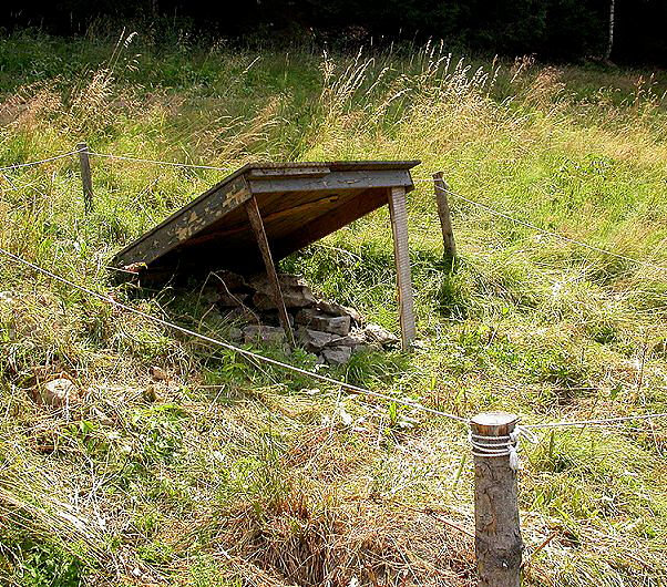 studánka bez jména (167)