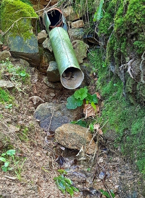 Kamenná studánka (169)