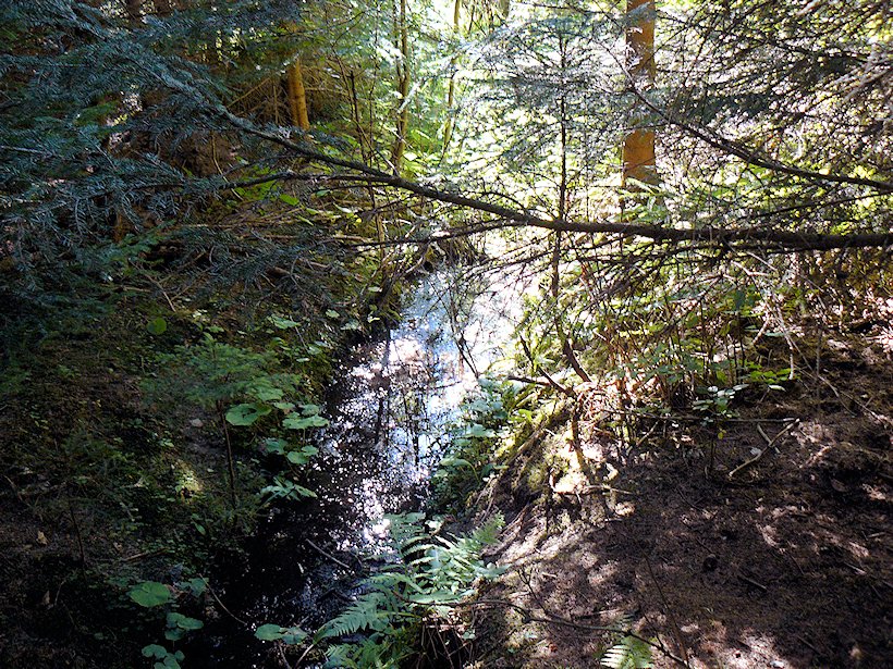 studánka U Naděje (173)