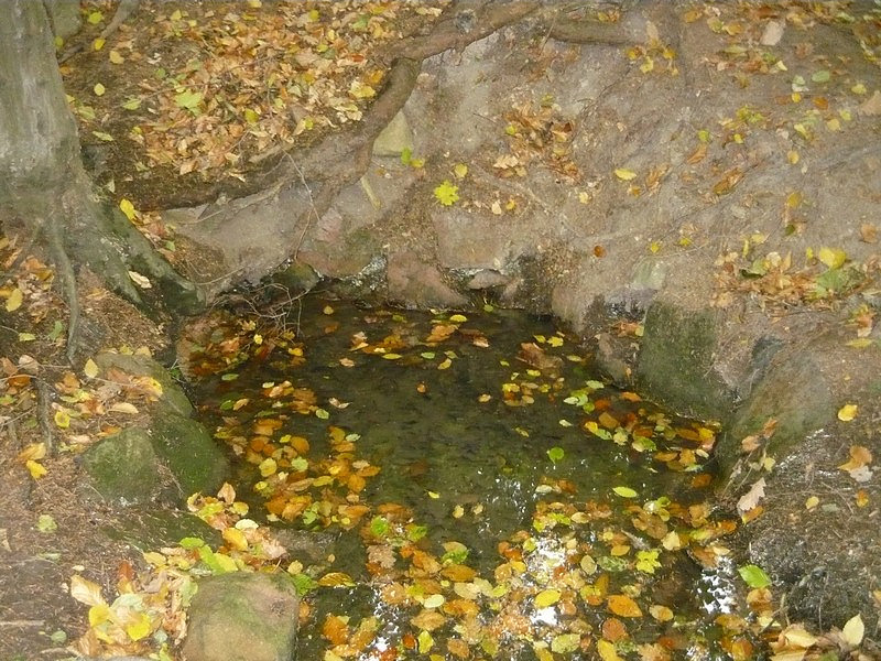 studánka Pod Kořenem (182)