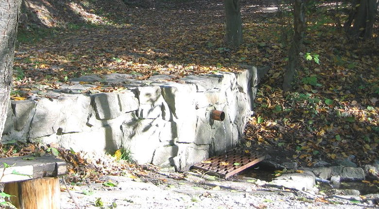 studánka Pařezová (184)