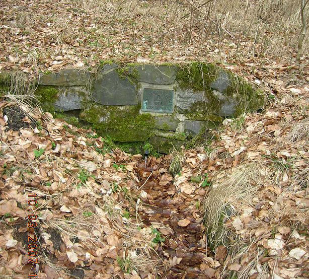 studánka Na Aleji (186)