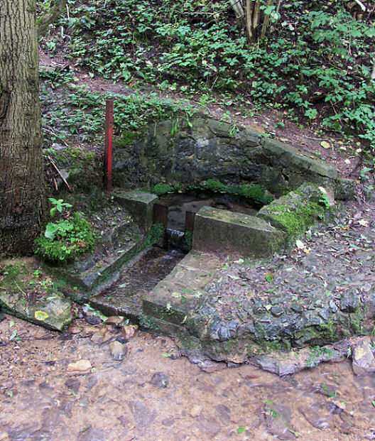 Karlova studánka (190)