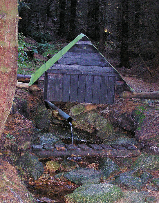 studánka Tetřeví (194)