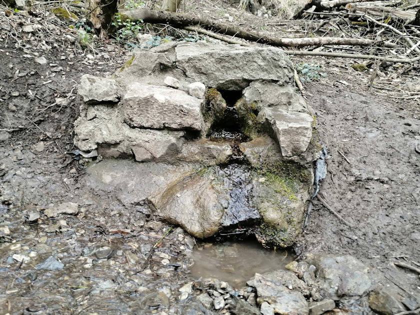 studánka Stydlá voda (195)