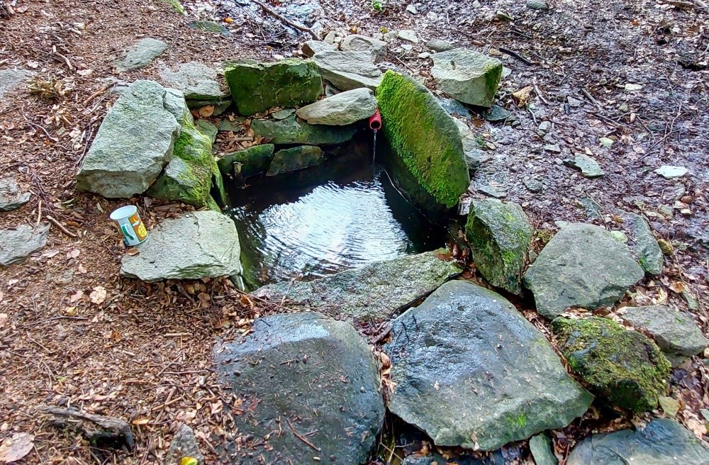 Stříbrná studánka - Naděje (202)
