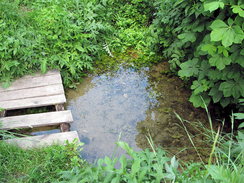 studánka Podmukařov (206)