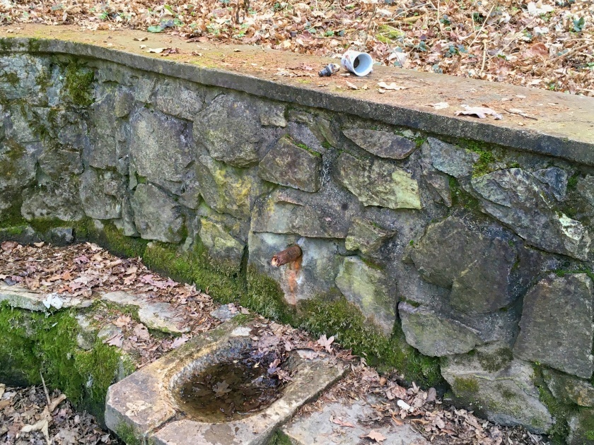 studánka Přátelství (207)