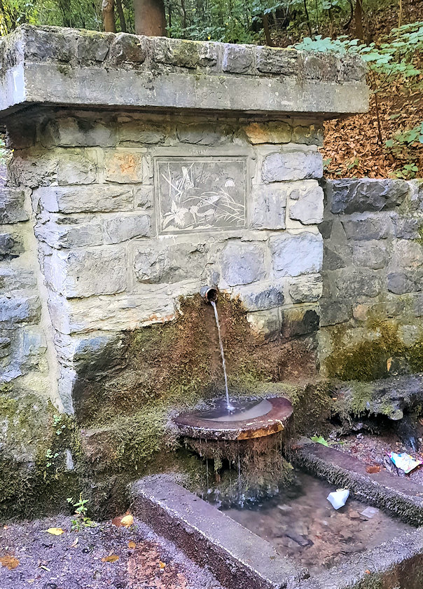 studánka Slučí (209)