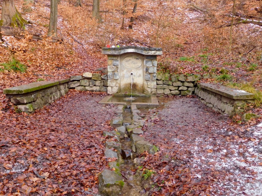 studánka Srnčí (210)
