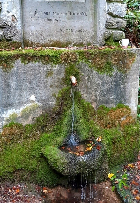 studánka U psa (211)