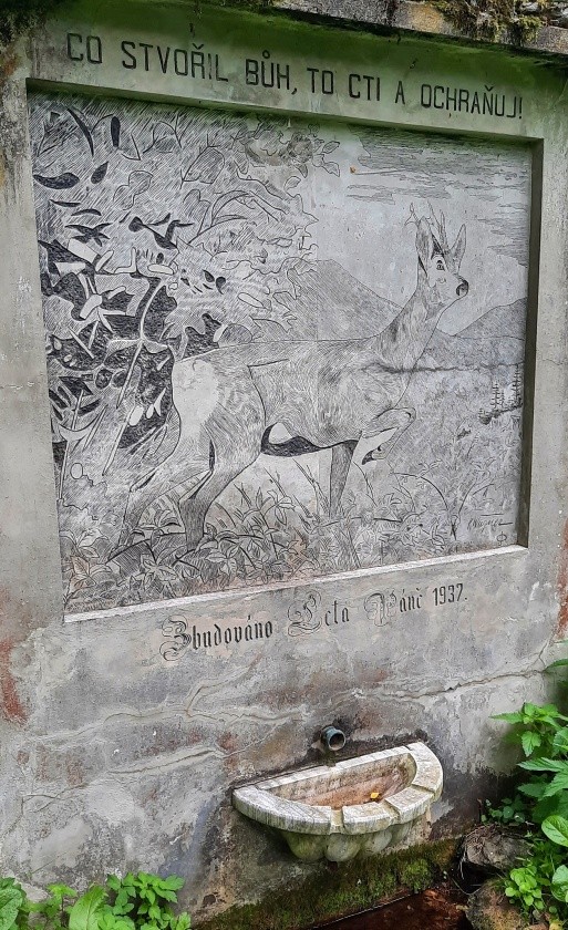 studánka U srnce (213)
