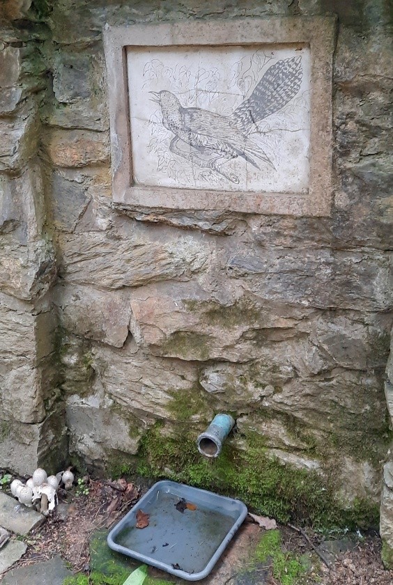 studánka U kukačky (214)