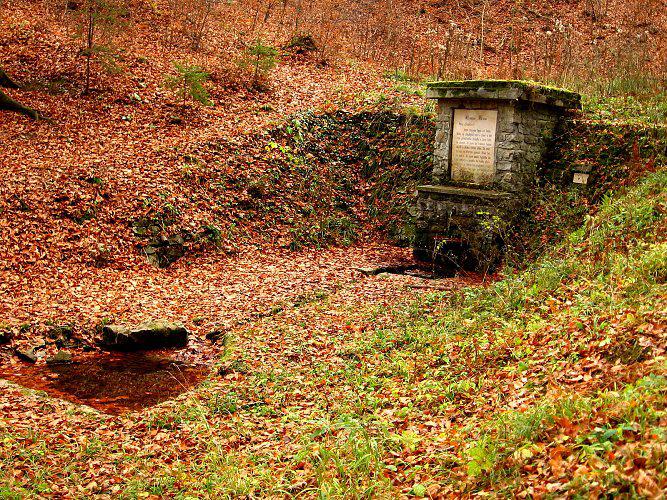 studánka Prosba lesa (216)