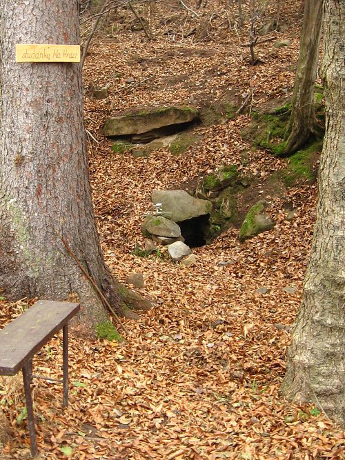 studánka Na hrázi (218)