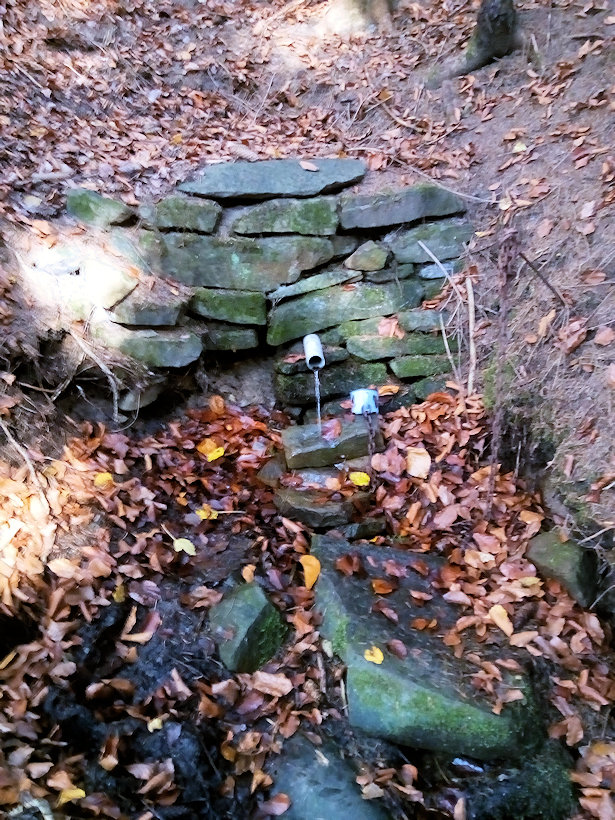 studánka U Huberta (219)