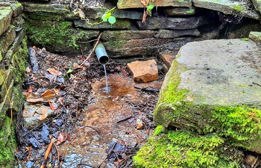 studánka Ivanovická (Pod Babou) (223)