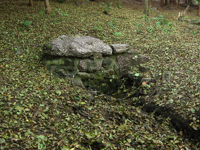 studánka Olšová (226)