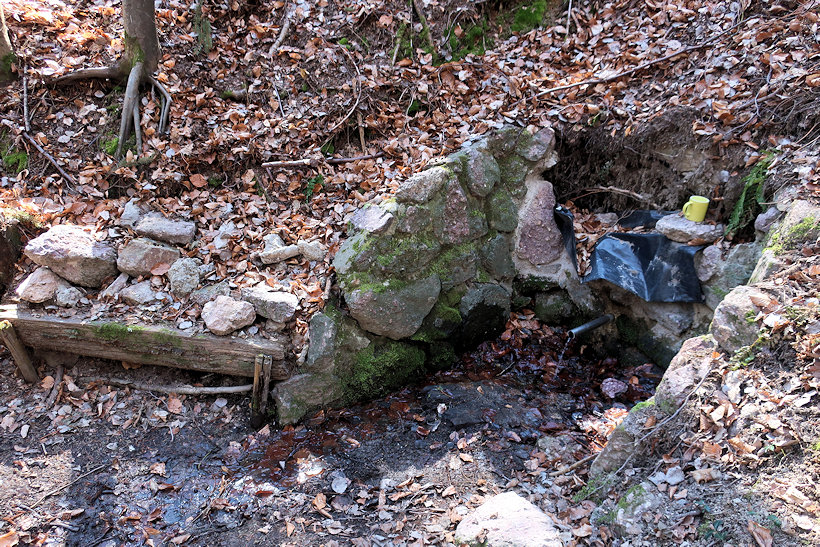 Studánka Míru (228)