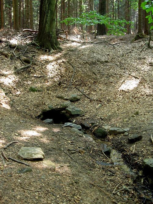 pramen Stříbrná studánka (231)