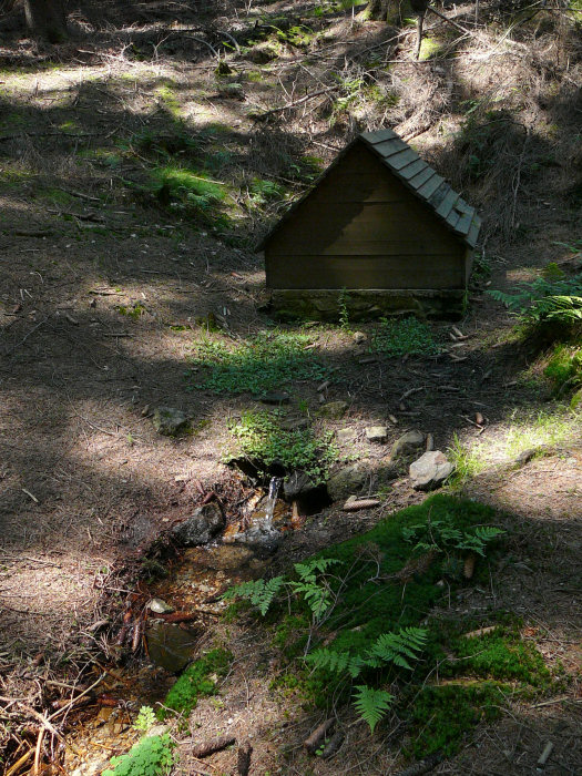 studánka bez jména (242)