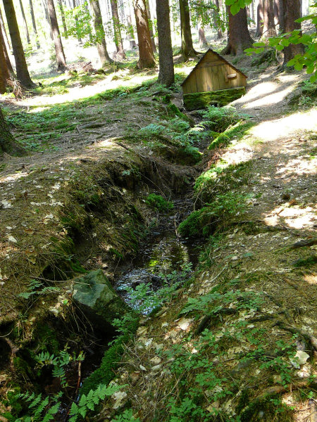 studánka bez jména (243)