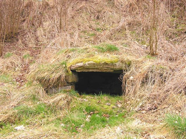 Studánka u Hajské (245)
