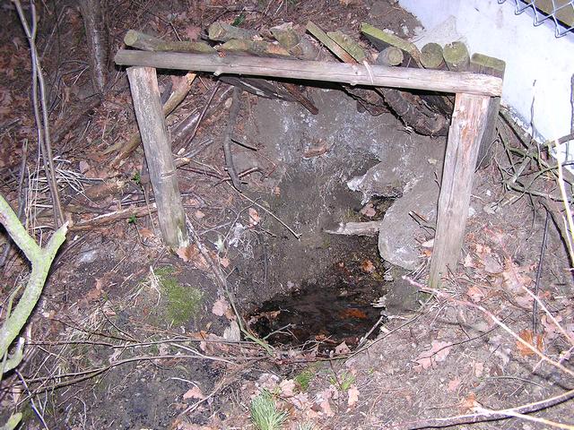Studánka u Horního Řepického rybníku (247)
