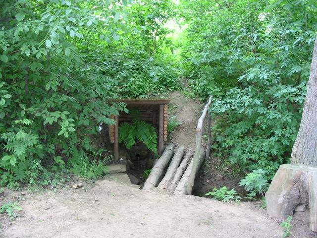 studánka Dolíhalova (294)