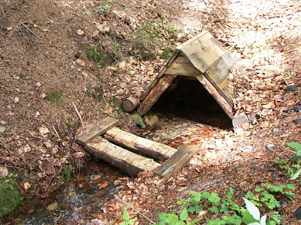 Čerstvý pramen (311)