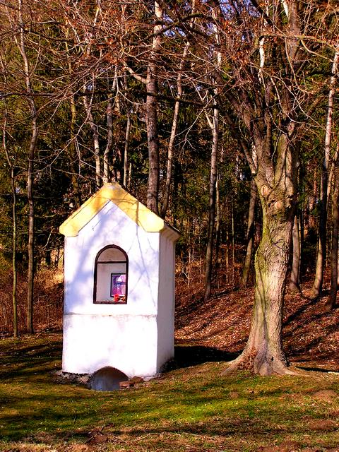 Studánka sv. Vojtěcha (315)
