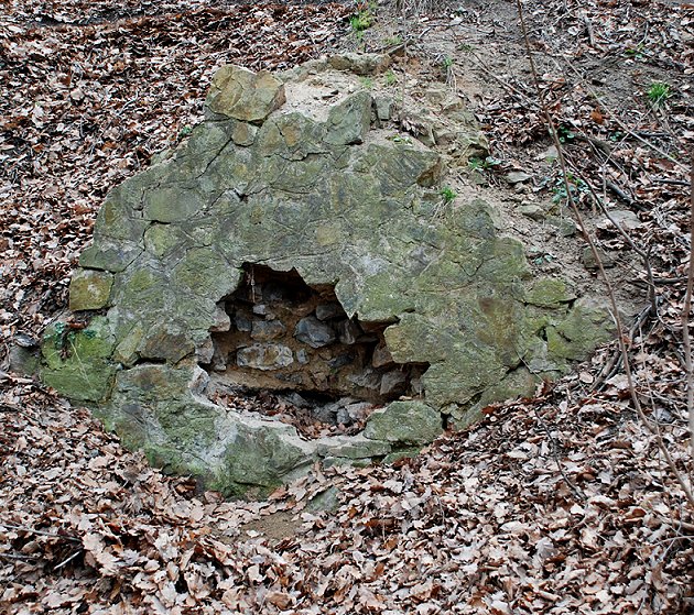 studánka Labutěnka (316)