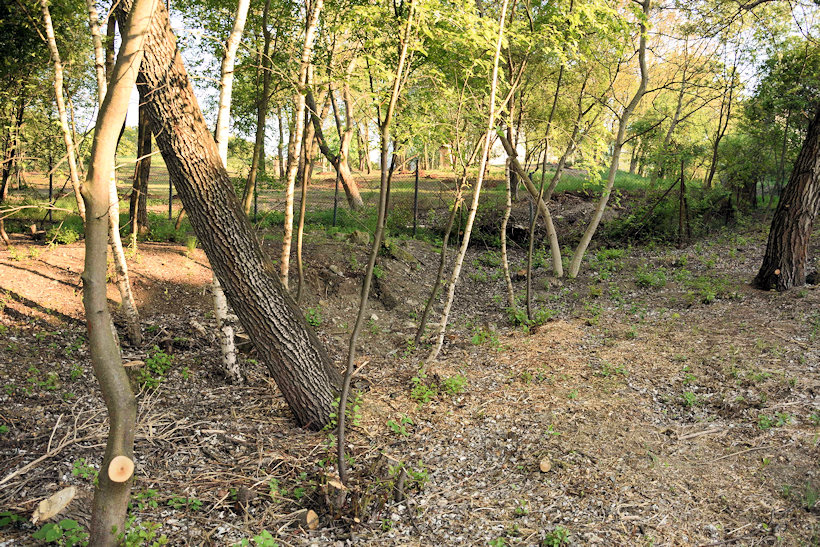 studánka Řeřišnicová (318)